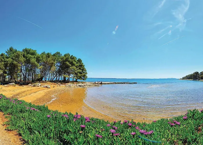 13 *